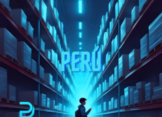 ¿Qué porcentaje de las importaciones corresponde a bienes de consumo en Perú? 2024 ¿Qué porcentaje de las importaciones corresponde a bienes de consumo en Perú?