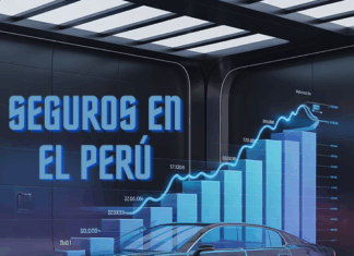 Investigación: Mercado de Seguros en Perú: Tendencias, Riesgos y Oportunidades para Brokers”: